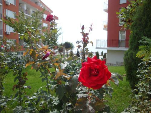 Apartamento Panorama Fort Noks Cts