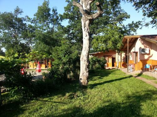 Strandzha Complex