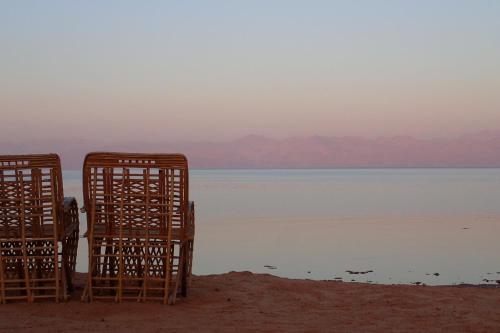 Bedouin Star (ras Shetan Area)