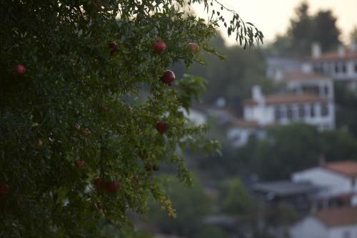 Bed & Breakfast Nisanyan Hotel