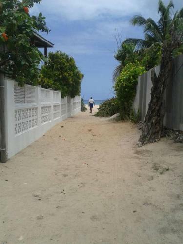 Beach Nest