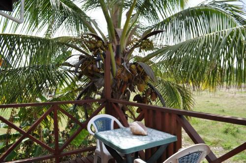 Apartamentos White Coconut Studio