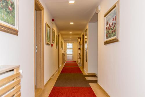 Hostal Guest House Vila Andrea