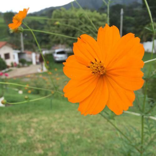 Hostal Pousada Flores Do Campo
