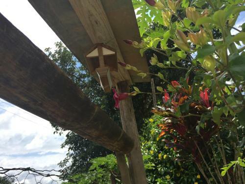 Hostal Pousada Flores Do Campo