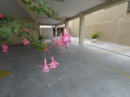M Hotel (adult Only)