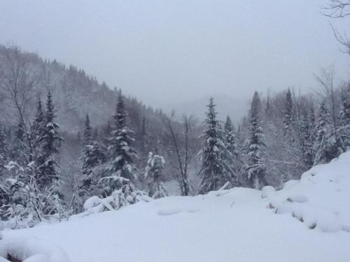 Bed & Breakfast Loft Nature Laurentides