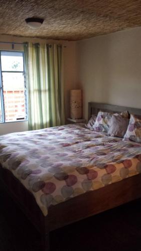 Hostal Monta�a Linda Guest House Orosi