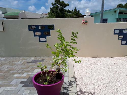 Apartamento The Lush
