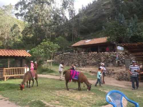 Hostal Y Complejo Recreacional La Playita de Monse