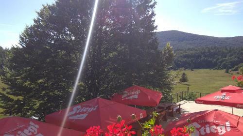 Great Mountain B&B Platak