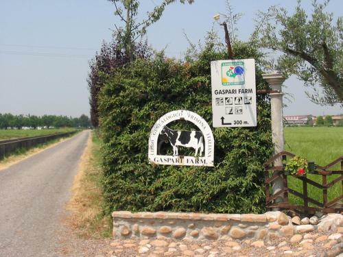 Bed & Breakfast Agriturismo Gaspari Farm