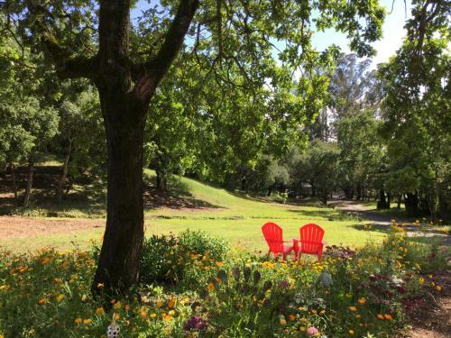 Amitabha Wine Country Cottage