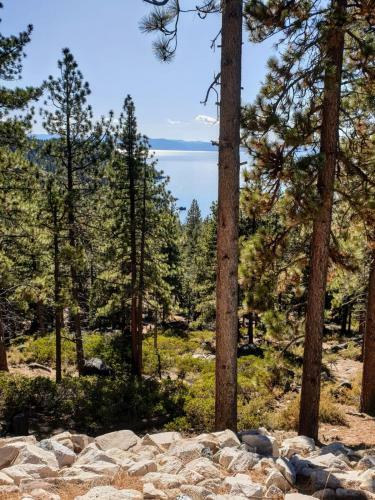 New Home Close To Heavenly W Pine Garden