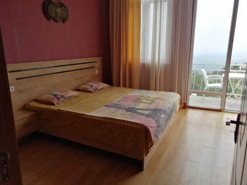 Hostal Guest House Alazani Valley