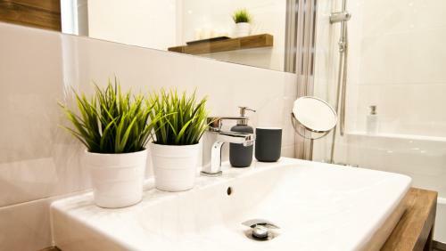 Apartament Mateo