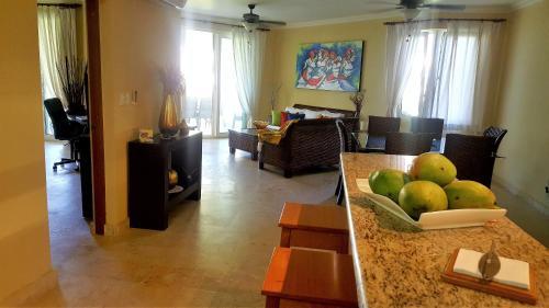 Hispaniola Beach Ocean View Apartment