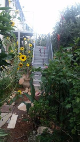 Apartamento Amazing Galilee View
