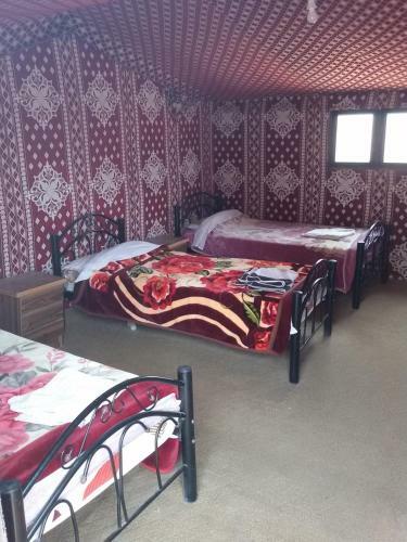 Azzabi Nomad Camp