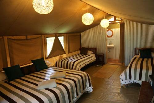Wildebeest Eco Camp