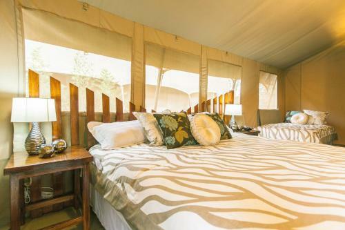 Wildebeest Eco Camp