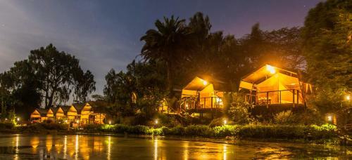 Wildebeest Eco Camp