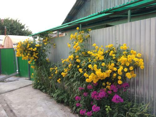 Hostal Dos Guesthouse