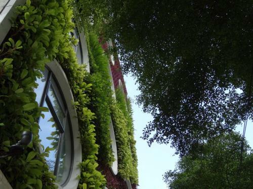 Flora By Crossroads Hotel