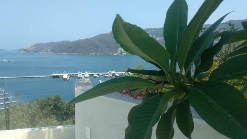 Apartamento Torre Blanca Diamante Acapulco