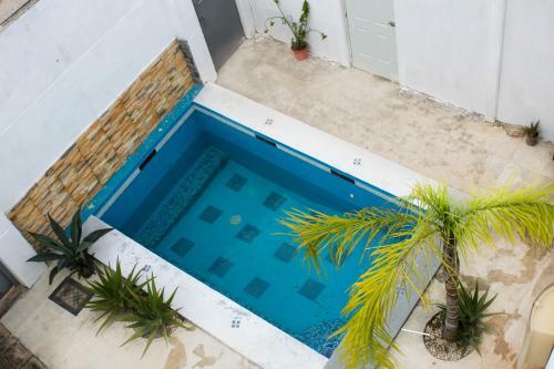 Hostal Rooms In Cancun Alamos