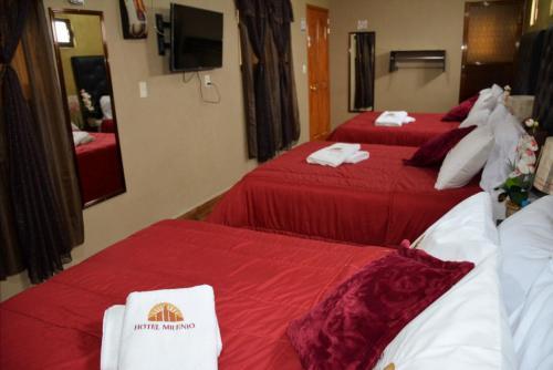 Hotel Milenio