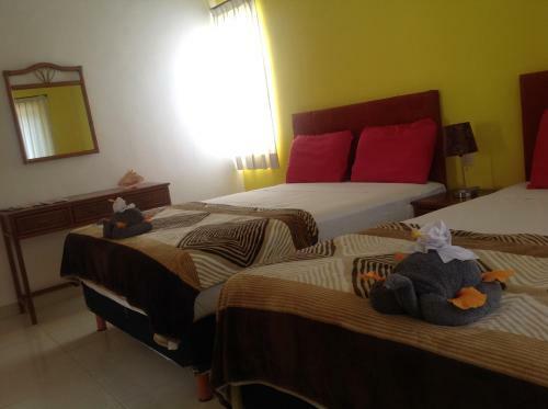 Bed & Breakfast Casa Pili