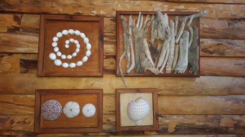 Hostal Barefoot In Barra