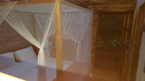 Hostal Barefoot In Barra
