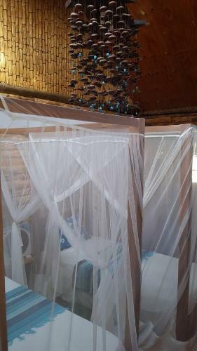 Hostal Barefoot In Barra