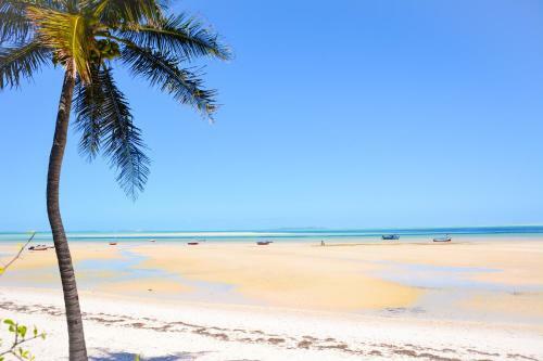 Hotel Baobab Beach Resort And Backpackers