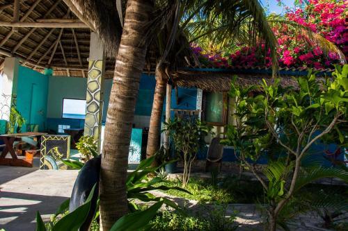 Lodge Dolphin Dhow Safaris