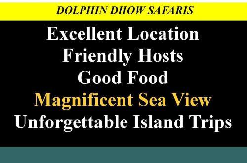 Lodge Dolphin Dhow Safaris