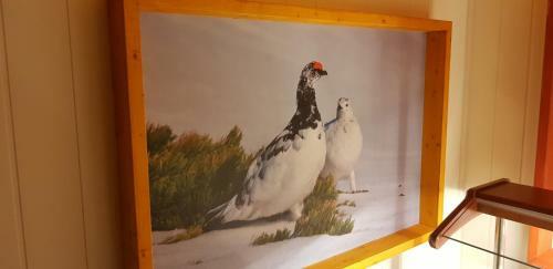 B�tsfjord Hotell & Camping