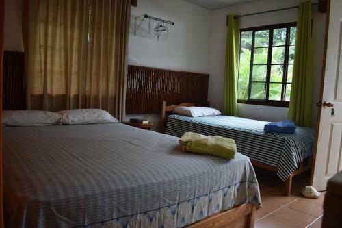 Hostal Rainforest Yasmin Hostel