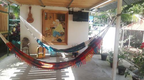 Hostal Rainforest Yasmin Hostel