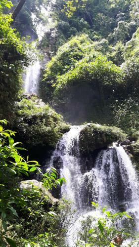 Hostal Rainforest Yasmin Hostel