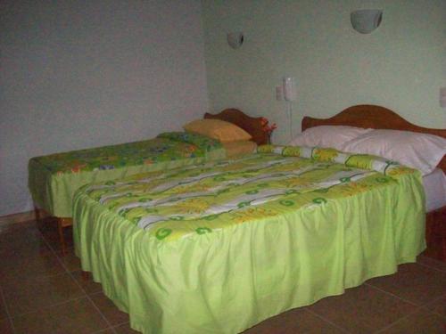 Hotel Orquidea Del Mayo