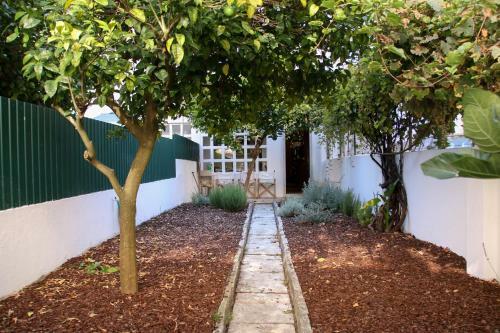 Apartamento The Olive Tree House