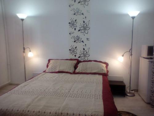 Apartment Camelia
