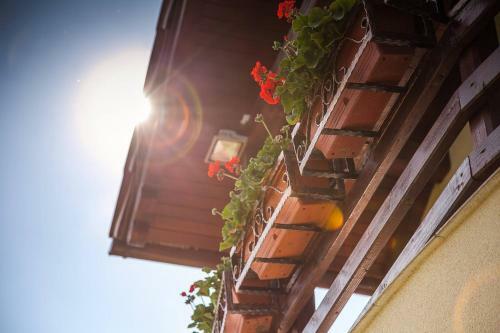 Hostal Pensiunea Nobila