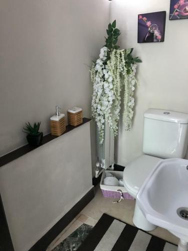 Hostal Iora Boutique