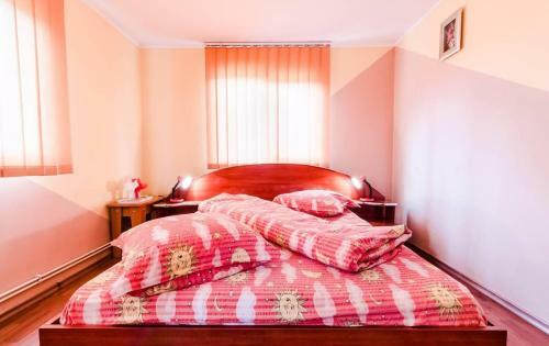 Hostal Pensiunea Gaby