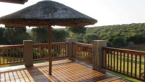 Aloe And Elephant Lodge
