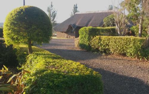 Bed & Breakfast African Flair Country Lodge